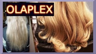 KAPUTTE HAARE REPARIEREN MIT OLAPLEX BEHANDLUNG I ANWENDUNG I before and after I Blond [upl. by Schofield]