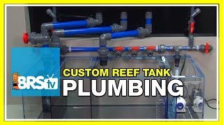 Week 5 Plumbing Overflows and Return Pumps  52 Weeks of Reefing [upl. by Issie]