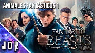 Animales Fantásticos 1  Fantastic Beasts  Resumen  JDR [upl. by Enriqueta]