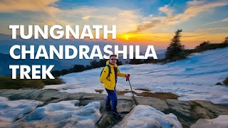 Chopta Chandrashila Trek  Tungnath Mahadev  Worlds highest Shiva Temple Panchkedar [upl. by Stearn]