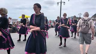 Sidmouth Folk Festival 2024  Saturday Procession [upl. by Itnahsa822]