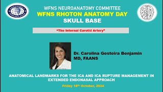 WFNS NEUROANATOMY COMMITTEEWFNS RHOTON ANATOMY DAY SKULL BASE [upl. by Aronel]