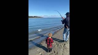 Fishing for Kahawai in New Zealand [upl. by Declan]