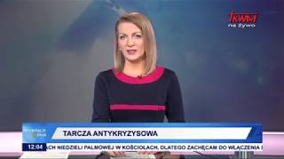 Tarcza antykryzysowa [upl. by Neffets]