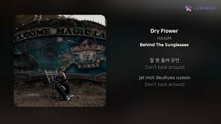 HAAIM  Dry Flower  가사 Lyrics [upl. by Therese]