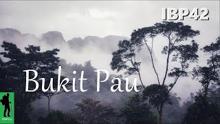 Ep77 Hike to Bukit Pau via Jalan Tiara Kemensah 3 Trailhead ⭐ Gombak Selangor Malaysia [upl. by Zindman]