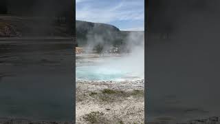 Spouter Geyser yellowstonenationalpark yellowstone geyser yellowstonepark [upl. by Grosberg]