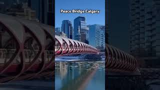 Peace Bridge in Calgary peacebridge calgary winterincanada [upl. by Salot715]