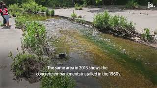 Kinnickinnic River in Milwaukee rebounds after restoration efforts [upl. by Enilegnave751]