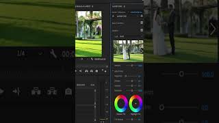 HOW TO CREATE LUMETRI COLOR PRESET IN PREMIERE PRO ONLY 30 SECOND shorts premierepro [upl. by Kyl]