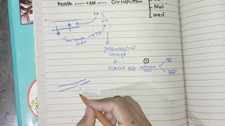 Hemodynamic chapter overview robbins pathology generalpathology haemodynamics patho [upl. by Vonny]