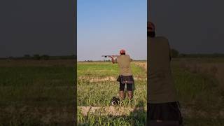 Quail Hunting birdhunting hunting wilderness wildrift quailhunting shortsvideo shotgunking [upl. by Yezdnil]