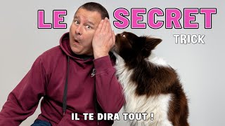 LE SECRET  ÉCOUTE ET PARLE À TON CHIEN [upl. by Aikenat]