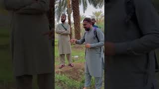 Hazrat Suleman Farsi Ajwa dates farms in Madina zunairkamboh foryou madina ajwa [upl. by Hauhsoj661]