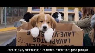 El propósito de un perro  Trailer oficial subtítulos en español [upl. by Pavia650]