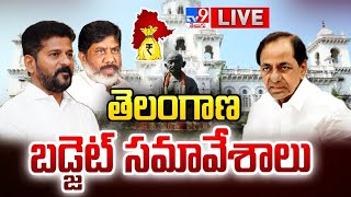 Telangana Assembly LIVE  Telangana Budget 2024  CM Revanth Reddy  KCR  TV9 [upl. by Aube718]