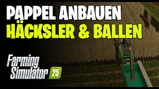 LS25 Pappel Anbauen und Ernten  Feldhäcksler oder Ballenpresse [upl. by Virgel]