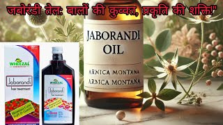 Jaborandi Hair Oil ॥ Wheezal Jaborandi तेल के फ़ायदे और इस्तेमाल करने का सही तरीका ॥ [upl. by Asirahc]