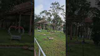 Skywalk at Sirindhorn Dam shorts skywalk thailand [upl. by Blackman]