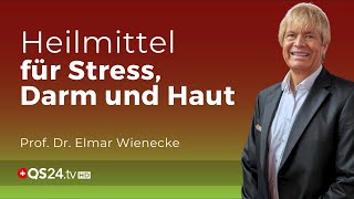 Heilung von innen heraus Wie Mikronährstoffe Stress Darm und Haut transformieren  QS24 Gremium [upl. by Federico]