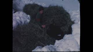 LES VILLARDS  Descente du foin en 1970 [upl. by Aleacem]