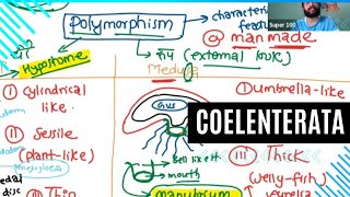 PHYLUM COELENTERATA [upl. by Inger]