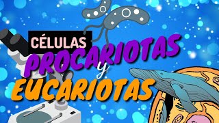 CÉLULAS PROCARIOTAS VS EUCARIOTAS aprende lo más importante en 5 minutosGUÍA EXAMEN UNAM BIOLOGIA [upl. by Eruza]