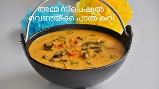 അമ്മ സ്പെഷ്യൽ വെണ്ടയ്ക്ക പാൽ കറി  Nadan Vendakka Pal Curry  Vendakka Mappas Ep525 [upl. by Thompson]