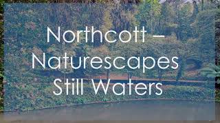 Northcott – Naturescapes Still Waters Fabric Collection Showcase by Fabric utopia [upl. by Muhan]