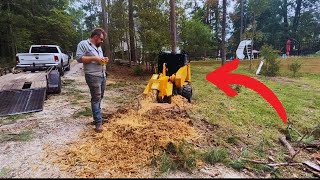 Brand new Carlton stump grinder eats pine stump like its NOTHING [upl. by Aylat899]