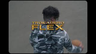 Trokadero  Flex Visualizer [upl. by Ellehsem]