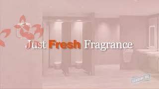 Create the WOW Factor in Your Office Now with Our Air Freshener at wwwGazillionOPcom [upl. by Iruj27]