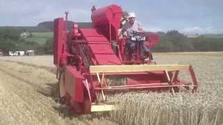 massey harris combine working hard [upl. by Ahaelam]