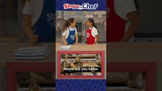 🐝 Did You Know This About Bees  Shane the Chef Shorts shorts honeybees foodfacts [upl. by Loggins136]