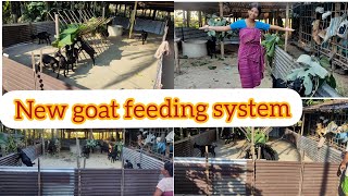 Goat feeding system  goat feeder  goat feeder kaise banaye [upl. by Inah]