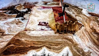 Satisfying Carpet Cleaning ASMR  Transforming Filthy Rugs into Fresh Masterpieces [upl. by Frantz]