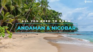 Andaman And Nicobar Islands Best Hotels Best Beaches Things To Do Food  Tripoto [upl. by Ngo954]