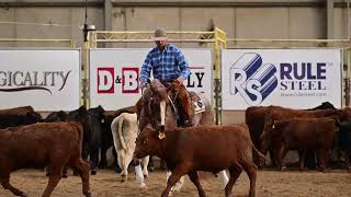 Clay Roeser amp RTR Forever Reys IRCHA Futurity Herd [upl. by Wolcott]