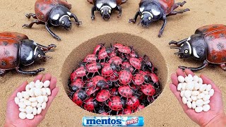 Mentos VS Coca Cola Sprite Monster Fanta different Toy insect and Mentos in underground [upl. by Netsrijk132]