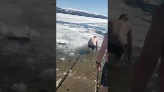 Polar dip  yukon 2023 [upl. by Henson]