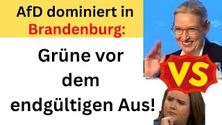 AfD triumphiert in Brandenburg Grüne stürzen ab und zittern um den Landtagseinzug [upl. by Barr428]