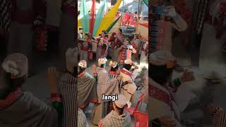 Kinnauri Dance  Jangi Village kinnaurviralvideo [upl. by Elyak]