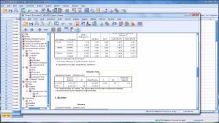 Conducting a TwoWay ANOVA in SPSS [upl. by Halda702]