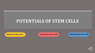 stem cells  totipotent pluripotent multipotent stem cells  scitechtrends [upl. by Alliehs]