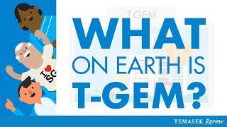 What Is TGEM [upl. by Aisayt242]