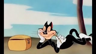 Merrie Melodies Cartoon A Tale Of Two Kitties [upl. by Cherey490]