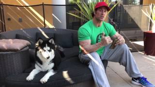 Day 29 SuperMan Chest  Tips For The Mike OHearn Pro Secrets Fitplan App [upl. by Florry]