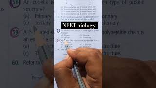 NEET biology 🧨🧨alpha helix structure of protein youtubeshort neet [upl. by Atiluj]