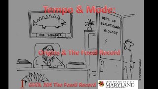 Lecture 7 Tempoamp Mode Originsamp the Fossil Record [upl. by Ahsaela]