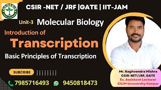 Introduction and Basic Principles of Transcription  Molecular Biology genesisinstitute [upl. by Dumm479]